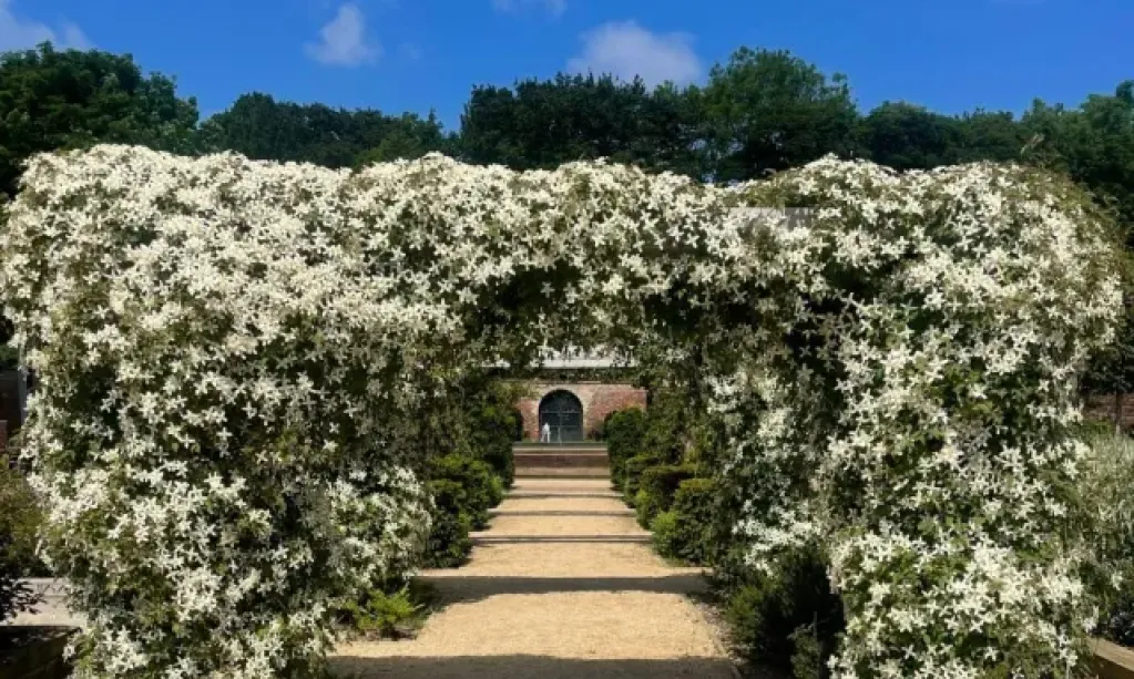 Kirkleatham Walled Garden 2